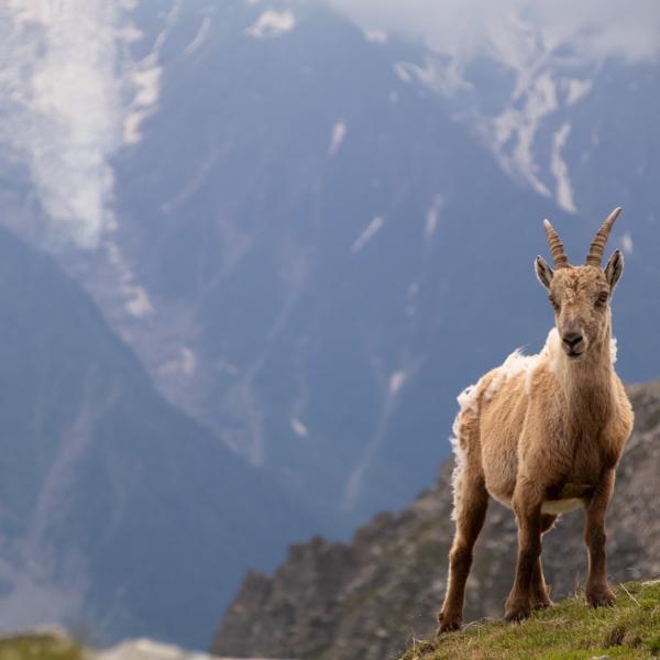 Foto's zeggen meer dan 1000 woorden