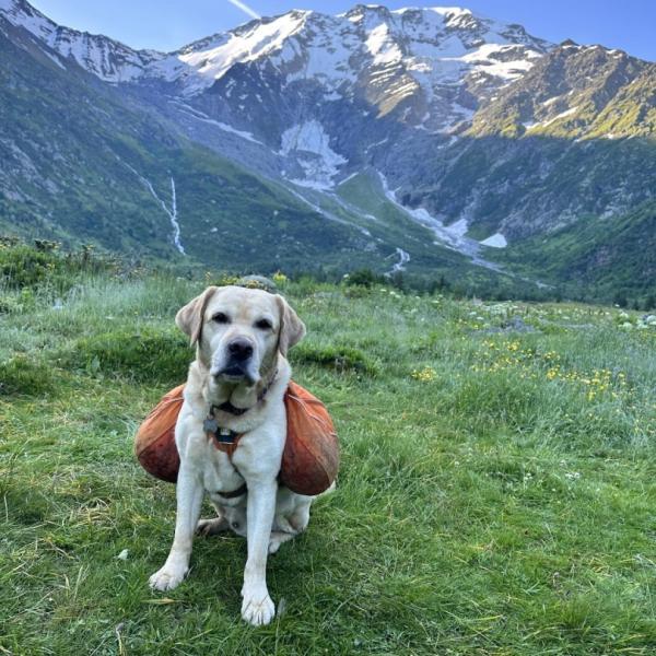 tour-du-mont-blanc-wandelen-trekking-hiking